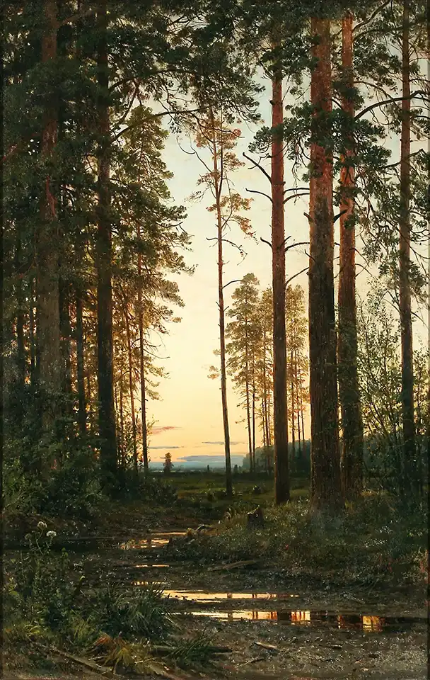 Twilight