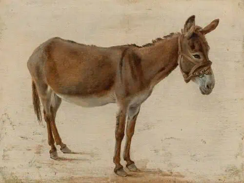 donkey-painting-by-jacques-laurent-agasse